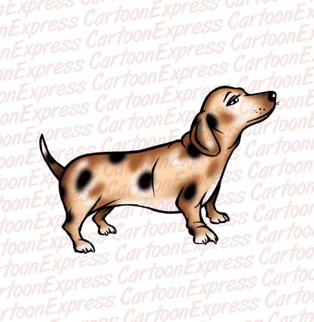 weiner dog
